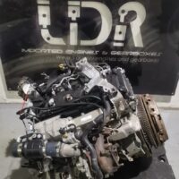 8dc408c6-49db-442d-9edf-ad5e189806dc.jpg