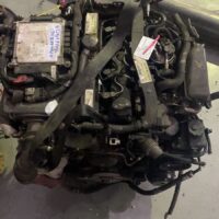 img_4113.jpeg